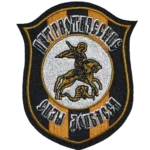 Patriotic Forces of Donbass Volunteer Division Vostok