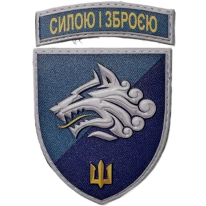 1st Marine Brigade Patch