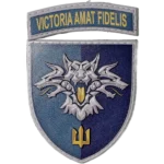 38th Marine Brigade Patch