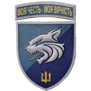 137th Separate Marine Brigade Patch