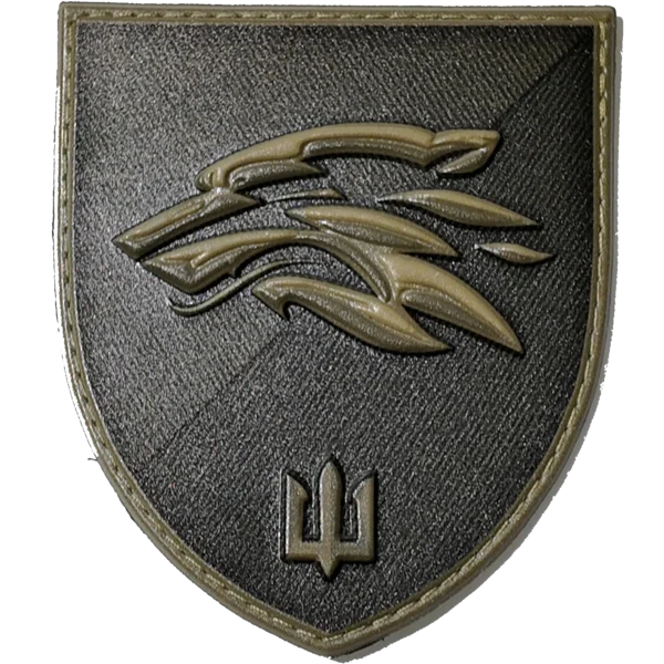 DJI_20250504144339_0037_D 503rd Separate Marine Battalion Patch