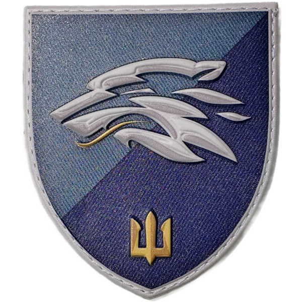 DJI_20250504144351_0038_D 503rd Separate Marine Battalion Patch