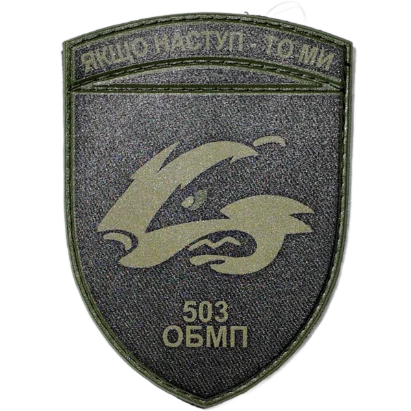 DJI_20250504144406_0040_D 503rd Separate Marine Battalion Patch
