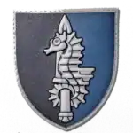 73rd Naval Special Operations Center Patch