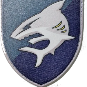 40th Coastal Defense Brigade Patch