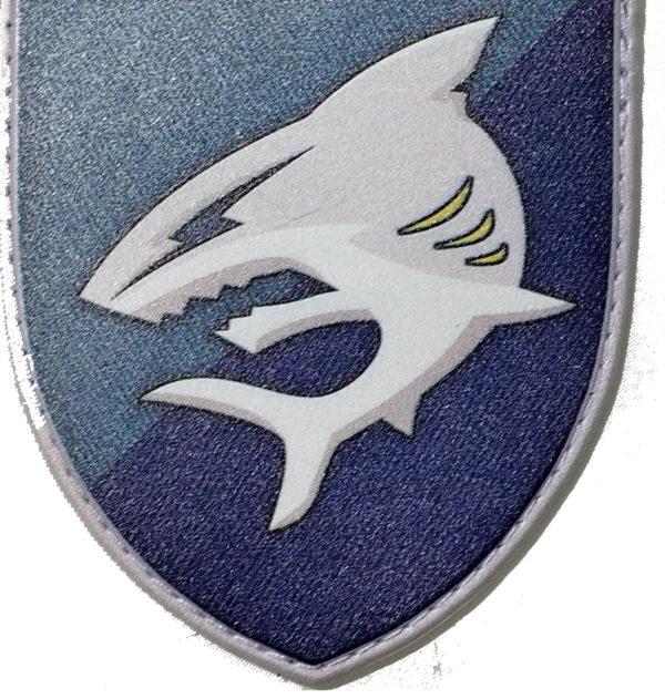40th Coastal Defense Brigade Patch