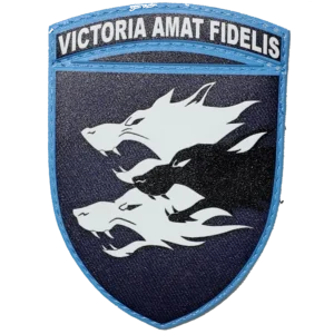 38th Marine Brigade Patch