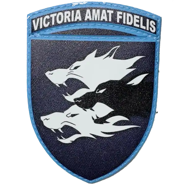 38th Marine Brigade Patch