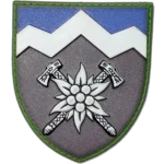 10th Mountain Assault Brigade Patch
