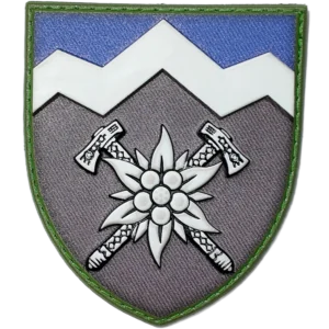 10th Mountain Assault Brigade Patch