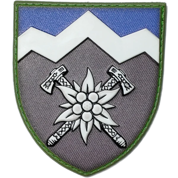 10th Mountain Assault Brigade Patch