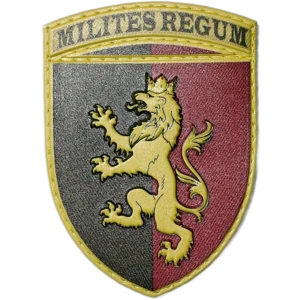 24th Mechanized Brigade Patch
