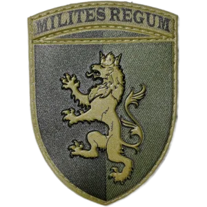24th Mechanized Brigade Patch