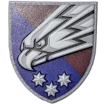 25th Airborne Brigade Patch