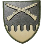 92nd Assault Brigade Patch