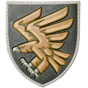 95th Air Assault Brigade Patch
