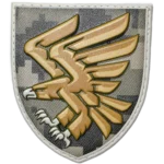 95th Air Assault Brigade Patch