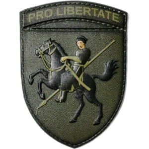 110th Mechanized Brigade Patch