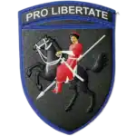 110th Mechanized Brigade Patch