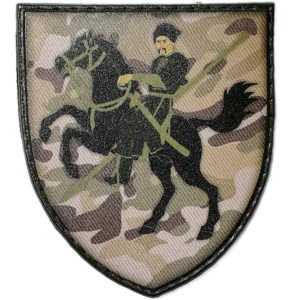 110th Mechanized Brigade Patch