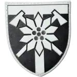 128th Mountain Assault Brigade Patch
