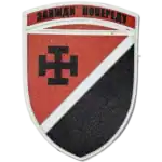 131st Reconnaissance Battalion Patch
