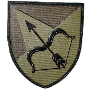 302nd Anti-Aircraft Missile Regiment Patch