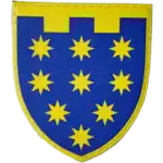 108th Territorial Defense Brigade Patch