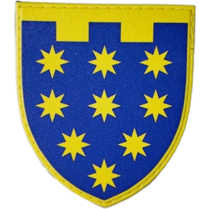 108th Territorial Defense Brigade Patch