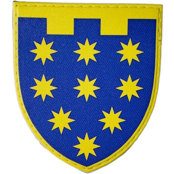 108th Territorial Defense Brigade Patch