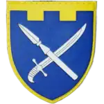 109th Territorial Defense Brigade Patch
