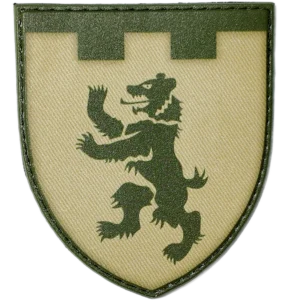 101st Territorial Defense Brigade Patch
