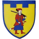 110th Territorial Defense Brigade Patch