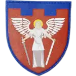 114th Territorial Defense Brigade Patch