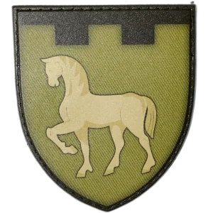 111th Territorial Defense Brigade Patch