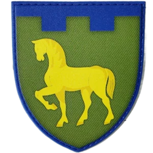 111th Territorial Defense Brigade Patch
