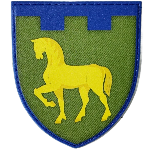 111th Territorial Defense Brigade Patch