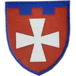 104th Territorial Defense Brigade Patch