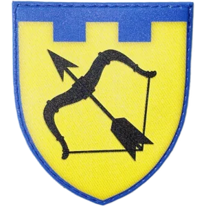 113th Territorial Defense Brigade Patch