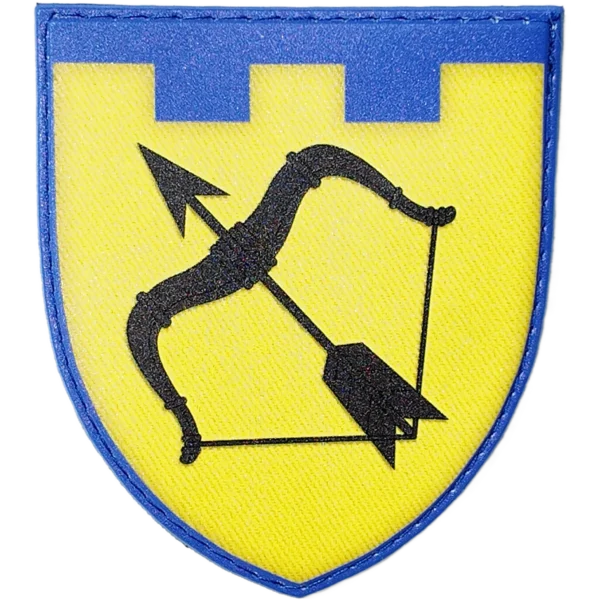 113th Territorial Defense Brigade Patch