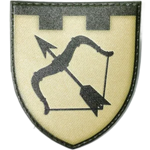 113th Territorial Defense Brigade Patch