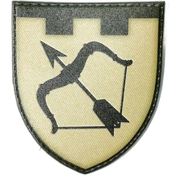 DJI_20250507093258_0216_D 113th Territorial Defense Brigade Patch