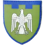107th Territorial Defense Brigade Patch