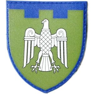 107th Territorial Defense Brigade Patch