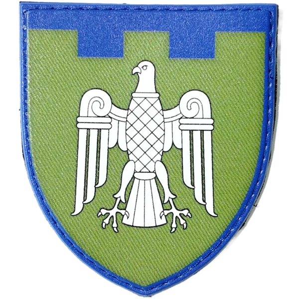 107th Territorial Defense Brigade Patch