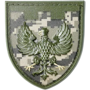 119th Territorial Defense Brigade Patch
