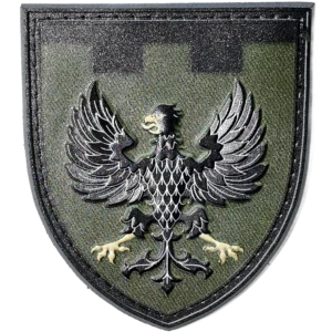 119th Territorial Defense Brigade Patch