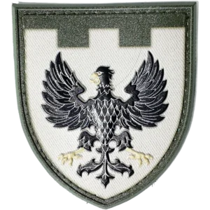 119th Territorial Defense Brigade Patch