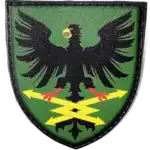103rd Territorial Defense Brigade Patch