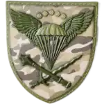 Ukrainian Air Assault Forces Command Patch